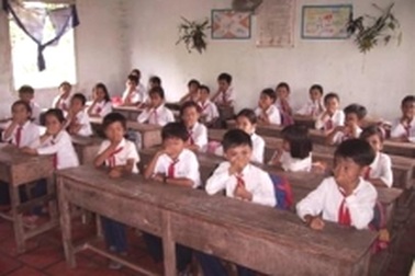 Phân heo tra tấn học sinh