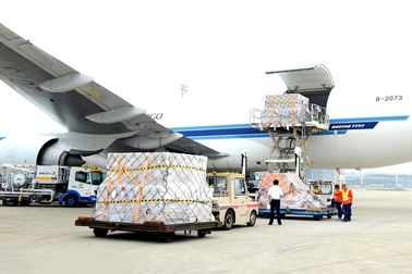 Hàng loạt doanh nghiệp xuất nhập khẩu, logistics “kiệt quệ” vì Covid-19