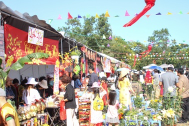 Đà Nẵng: Học trò vui hội hoa xuân