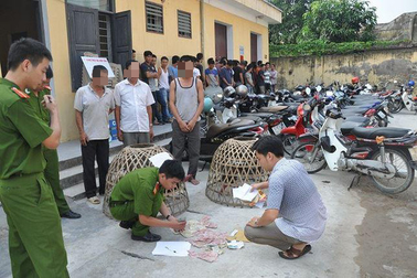 Triệt phá trường gà “khủng” thu giữ gần 700 triệu đồng