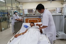 Cách sơ cứu giảm nguy cơ suy gan, suy thận khi bị ong đốt ai cũng cần biết