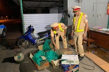 Mang động vật hoang dã trên xe khách đem đi tiêu thụ