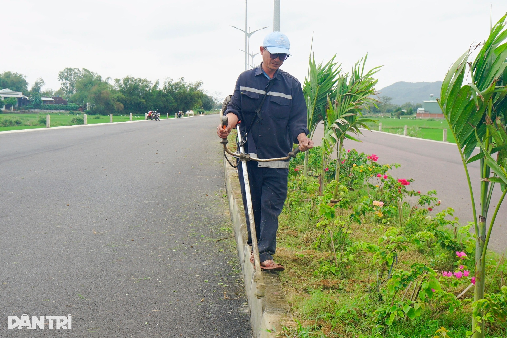 Đường nghìn tỷ băng qua những cánh đồng lúa chín ở miền Trung - 6 Đường nghìn tỷ băng qua những cánh đồng lúa chín ở miền Trung - 6