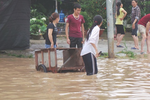 Hàng nghìn người vật vã "lội sông", bắt cá ở Đại lộ Thăng Long