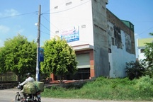 Kiểm tra H5N1 tất cả nhà nuôi yến ở TPHCM