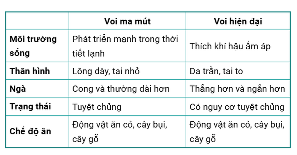 Voi ma mút khác voi hiện đại thế nào? - 3 Voi ma mút khác voi hiện đại thế nào? - 3