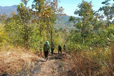 Gác Tết, tham gia cuộc chiến giữ rừng xanh Tây Nguyên