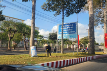 Nhiều tỉnh thành miền Tây rà soát các dự án liên quan Công ty Công Minh