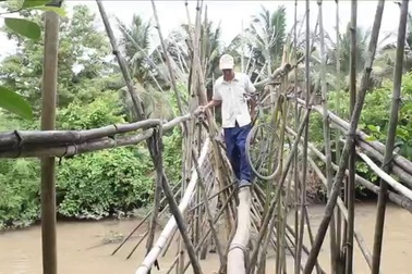 Cây cầu khỉ "siêu độc" ở Sóc Trăng