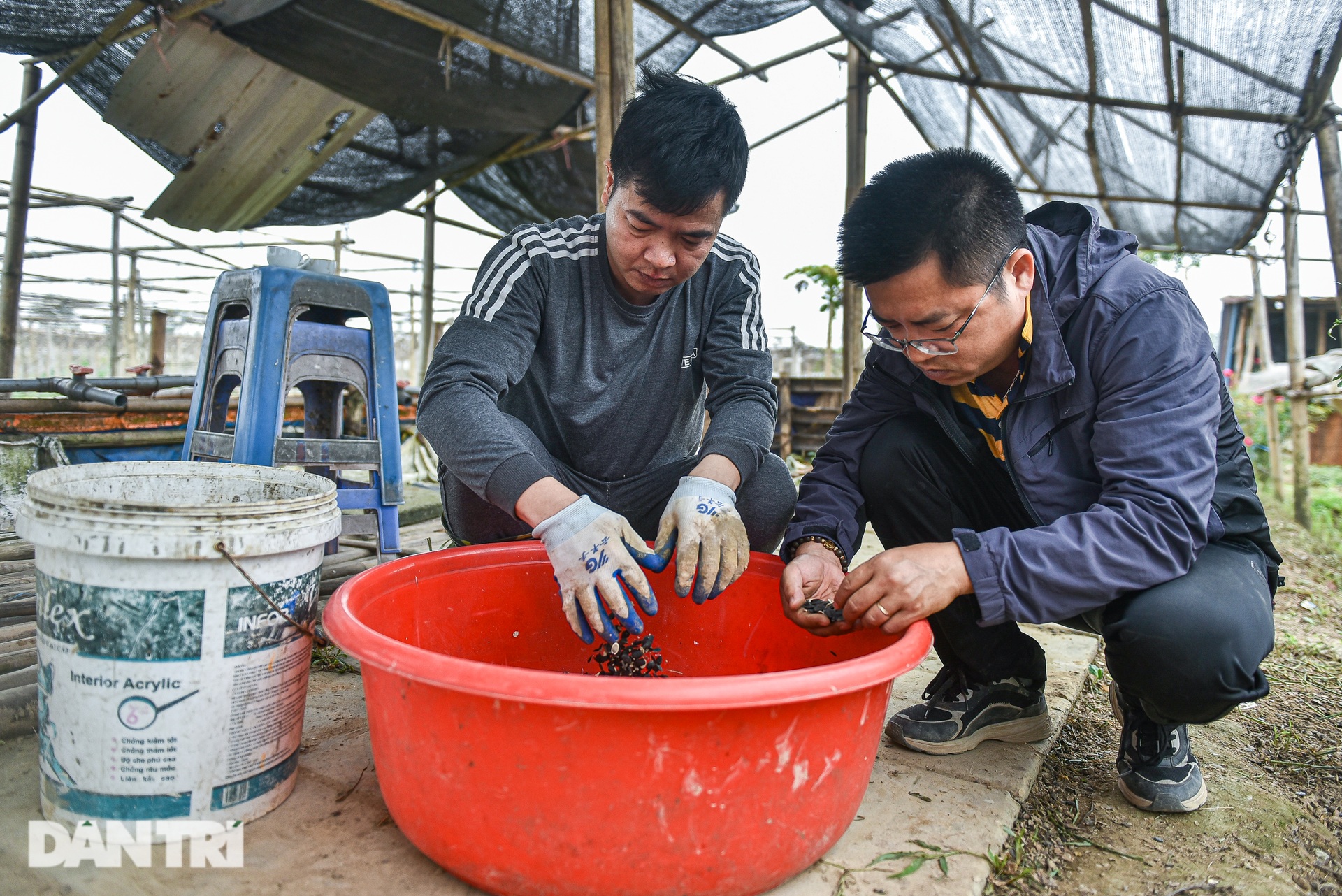 Giám đốc ngân hàng lương 1,2 tỷ bỏ nhà phố, ô tô về quê… trồng mướp - 7 Giám đốc ngân hàng lương 1,2 tỷ bỏ nhà phố, ô tô về quê… trồng mướp - 7