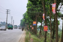 Chung cư giảm nhiệt, nhà đầu tư đổ tiền gom đất nền vùng ven