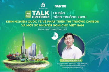 Kinh nghiệm QT về phát triển thị trường carbon và khuyến nghị cho Việt Nam