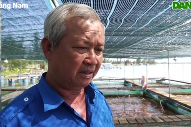 Lão nông thu tiền tỷ mỗi năm nhờ nuôi cá diêu hồng