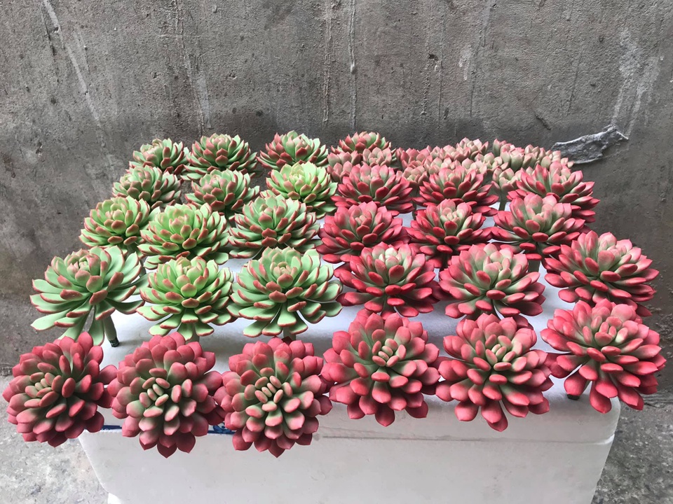 Đất sét đơm hoa kết trái dưới bàn tay khéo léo của 9X Sài Gòn - 8 Đất sét đơm hoa kết trái dưới bàn tay khéo léo của 9X Sài Gòn - 8