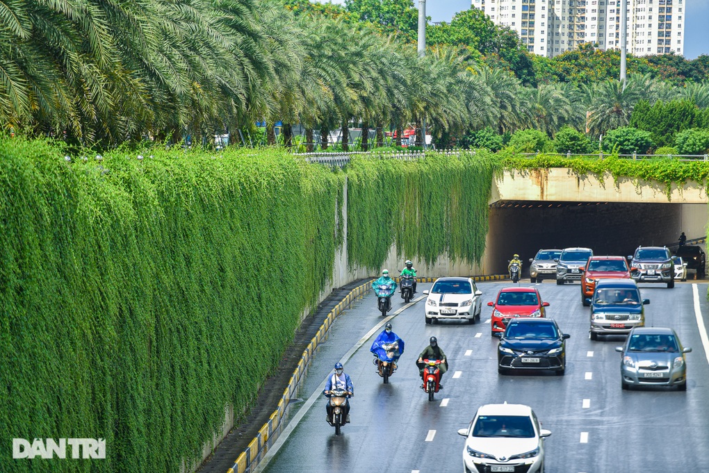 Con đường bức tường xanh đẹp như trên phim ở Hà Nội - 3 Con đường bức tường xanh đẹp như trên phim ở Hà Nội - 3