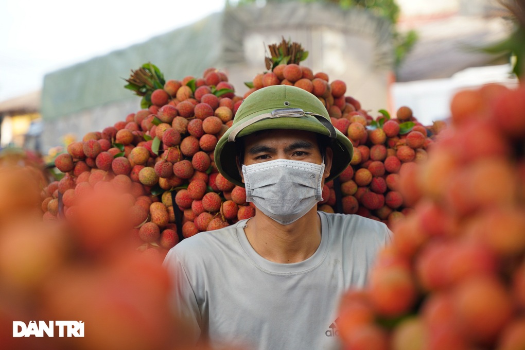 6 nhóm người nên hạn chế ăn vải - 1 6 nhóm người nên hạn chế ăn vải - 1