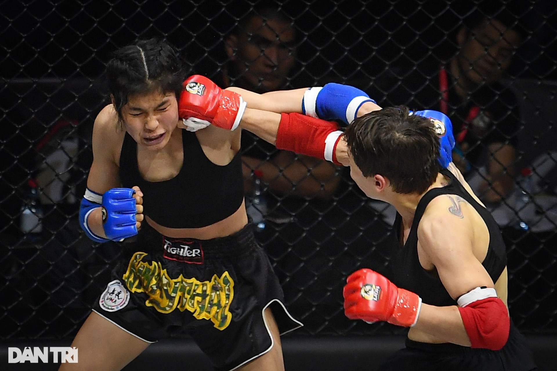 Bóng hồng Hungary hạ knock-out võ sĩ Việt Nam trong ngày khai màn MMA 2023 - 6 Bóng hồng Hungary hạ knock-out võ sĩ Việt Nam trong ngày khai màn MMA 2023 - 6