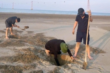 Người dân có thể "đào tiền triệu" mỗi ngày dưới lớp cát