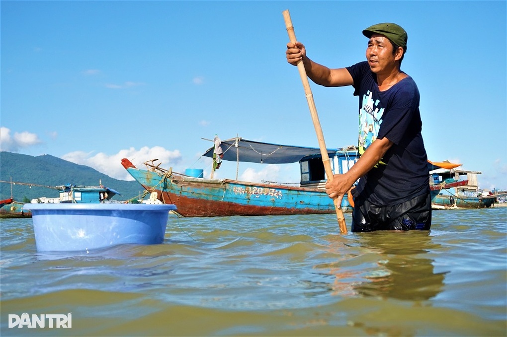 Ngâm mình dưới sông Hàn, khuấy cát bắt đặc sản tiến vua - 13 Ngâm mình dưới sông Hàn, khuấy cát bắt đặc sản tiến vua - 13