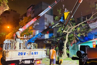 Xe container đâm gãy cành cây, một học sinh bị "vạ lây"