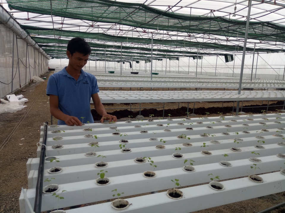 Nghệ An: Tạo việc làm và thu nhập từ đào tạo nghề nông thôn - 6 Nghệ An: Tạo việc làm và thu nhập từ đào tạo nghề nông thôn - 6