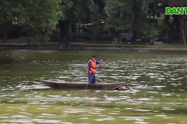 Người Hà Nội ngỡ ngàng khi mặt nước hồ Bách Thảo đột ngột chuyển vàng ruộm
