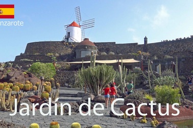 Vườn xương rồng đẹp như tranh