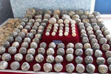 Phát hiện ổ đạn đá lớn gần Thành nhà Hồ