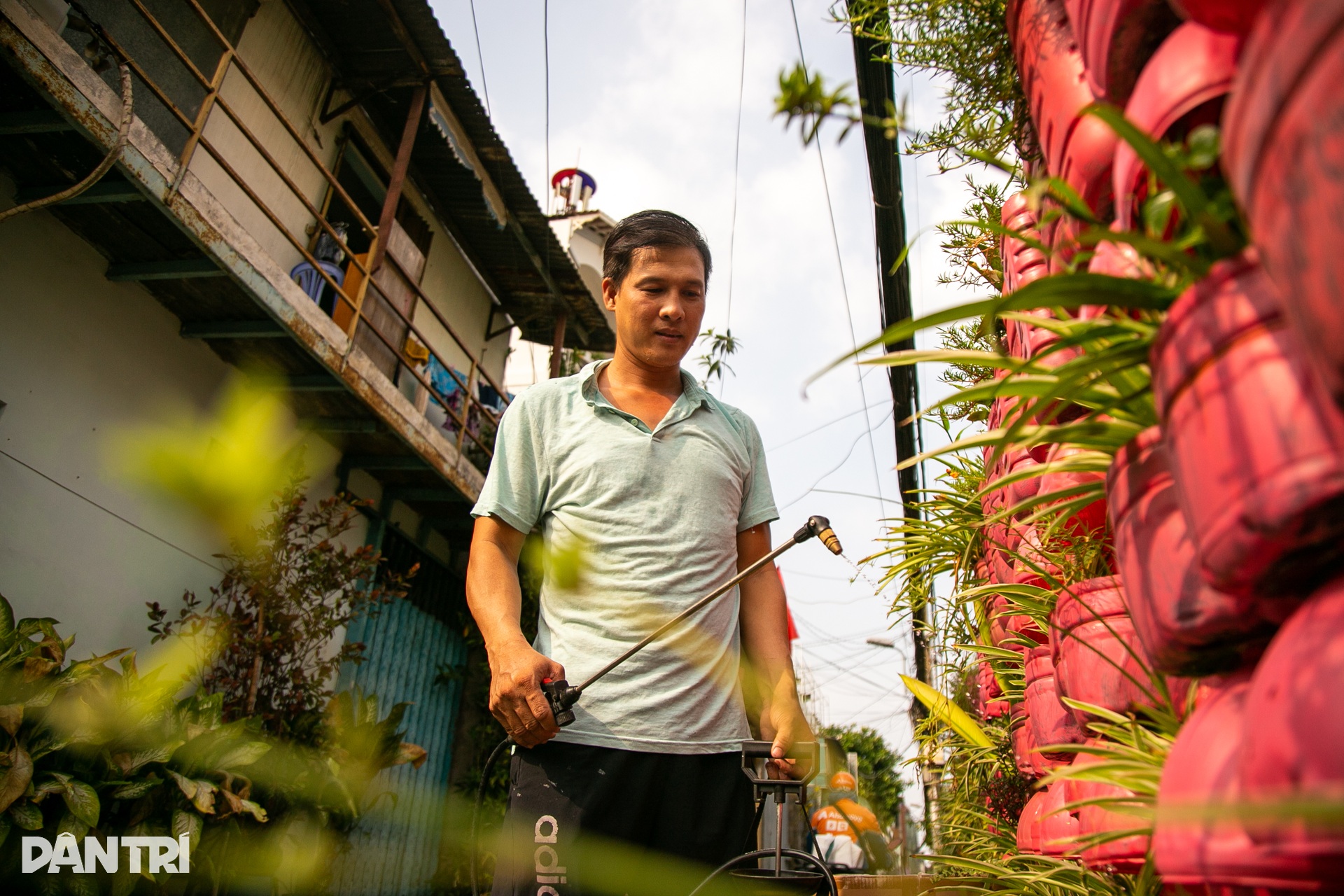 Người đàn ông ở TPHCM nhuộm hồng tổ ấm bằng hàng trăm chai nhựa - 15 Người đàn ông ở TPHCM nhuộm hồng tổ ấm bằng hàng trăm chai nhựa - 15