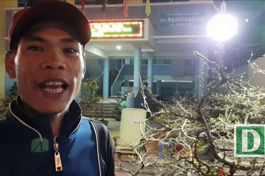 Người bán mai An Nhơn thức “trắng đêm” chờ khách ở Nha Trang