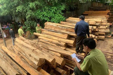 Khởi tố thêm nhiều đối tượng trong vụ “đột kích” xưởng gỗ lậu “khủng”