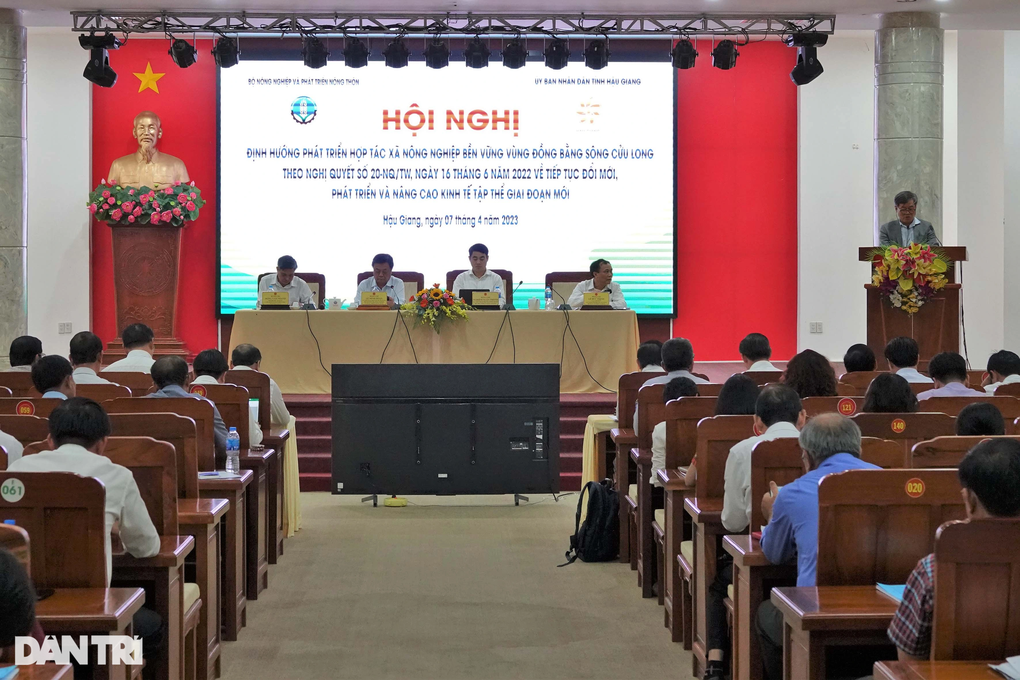 Muốn thoát nền nông nghiệp manh mún phải có HTX bền vững - 1 Muốn thoát nền nông nghiệp manh mún phải có HTX bền vững - 1