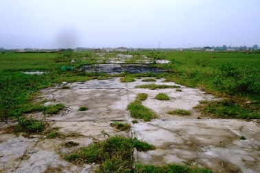 Hỗ trợ hơn 5,1 tỷ đồng cho các hộ sản xuất muối