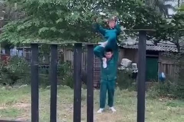 Nghệ sĩ múa lân với màn “phi thân” lên cột tài tình một cách khó tin