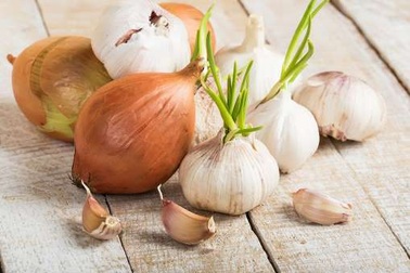 15 thực phẩm mời gọi và xua đuổi côn trùng