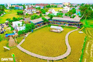 Ấn tượng triển lãm "Nơi đàn chim trở về"