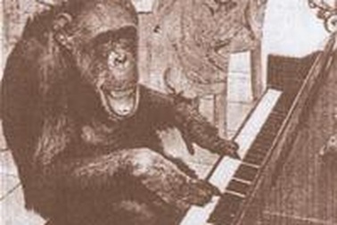 Cuộc sống hưu trí của một diễn viên hắc tinh tinh