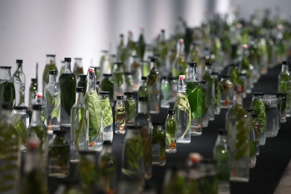 VCCA giới thiệu triển lãm TỎA IV - 5 VCCA giới thiệu triển lãm TỎA IV - 5