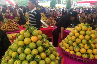 Hoà Bình: Lễ hội cam Cao Phong tiêu thụ 30 tấn cam trong ngày đầu tiên