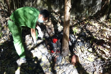 Vụ phát hiện 9 hài cốt ở Tây Ninh: Tưởng gáo dừa nhưng hóa ra sọ người!