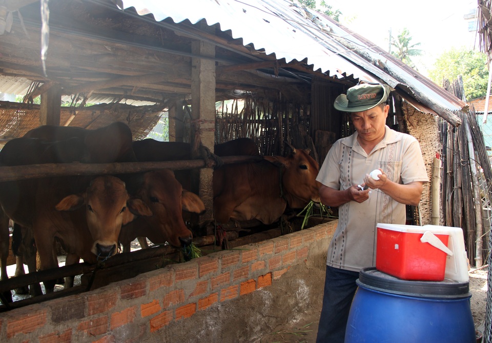 Phú Yên: Gia súc ngã bệnh chết hàng loạt, cán bộ thú y nói chỉ vài con - 2 Phú Yên: Gia súc ngã bệnh chết hàng loạt, cán bộ thú y nói chỉ vài con - 2