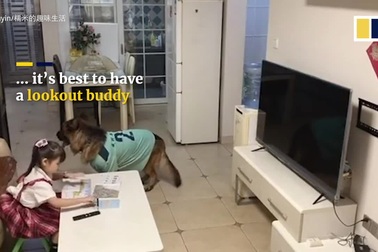 Nuomi nhắc Guanlin làm bài tập khi nghe thấy tiếng chân chủ