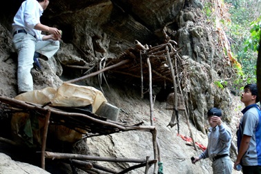 Hai mươi năm trở thành “người vượn”... 