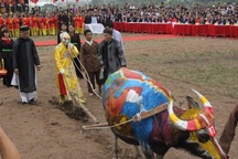 Triển khai kế hoạch tổ chức Lễ hội Tịch điền năm 2019