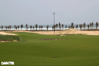 Bí thư Bình Định chỉ đạo tạm đình chỉ công tác Giám đốc Sở đi chơi golf