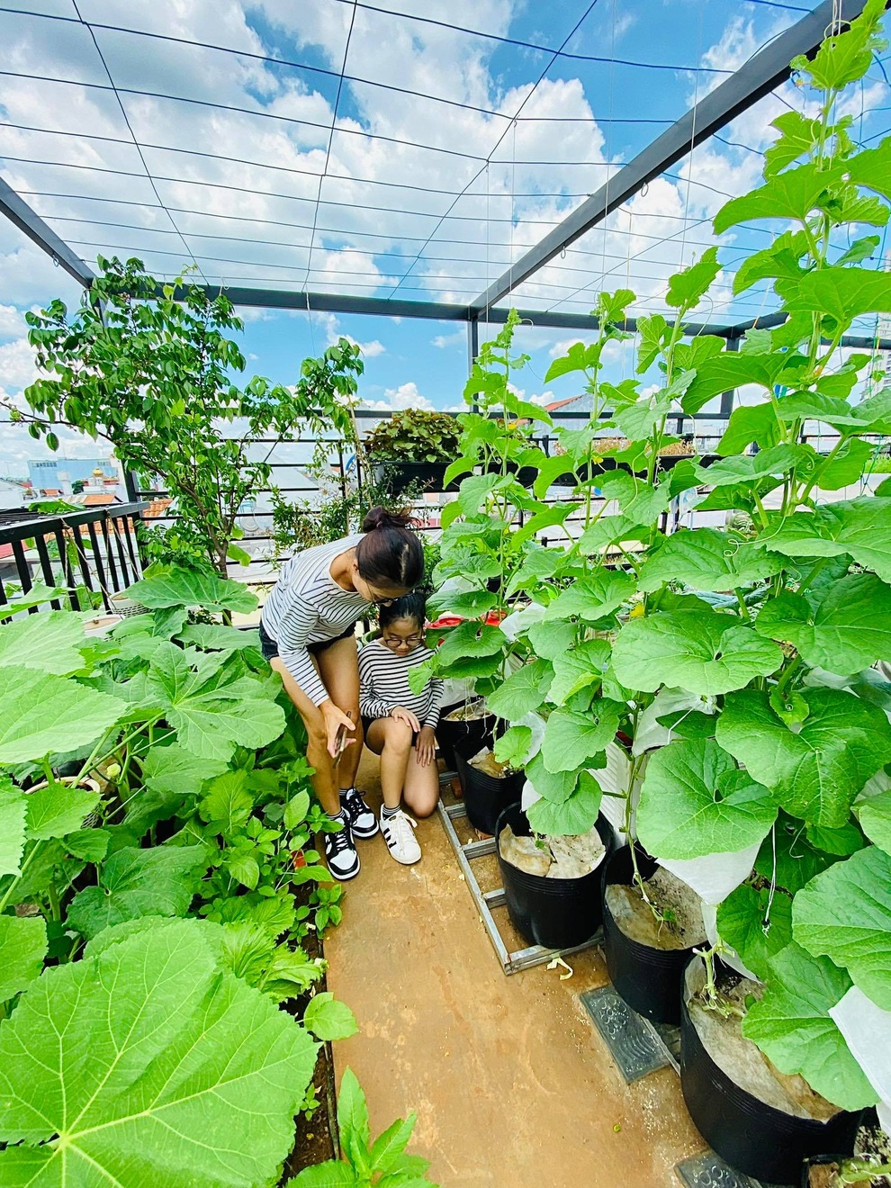 Ngắm vườn như rừng bách thảo trên sân thượng của nữ gia chủ ở Sài Gòn - 8