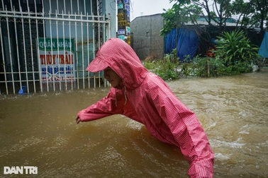 Xây nhà tầng cho gia súc, gia cầm... chạy lũ