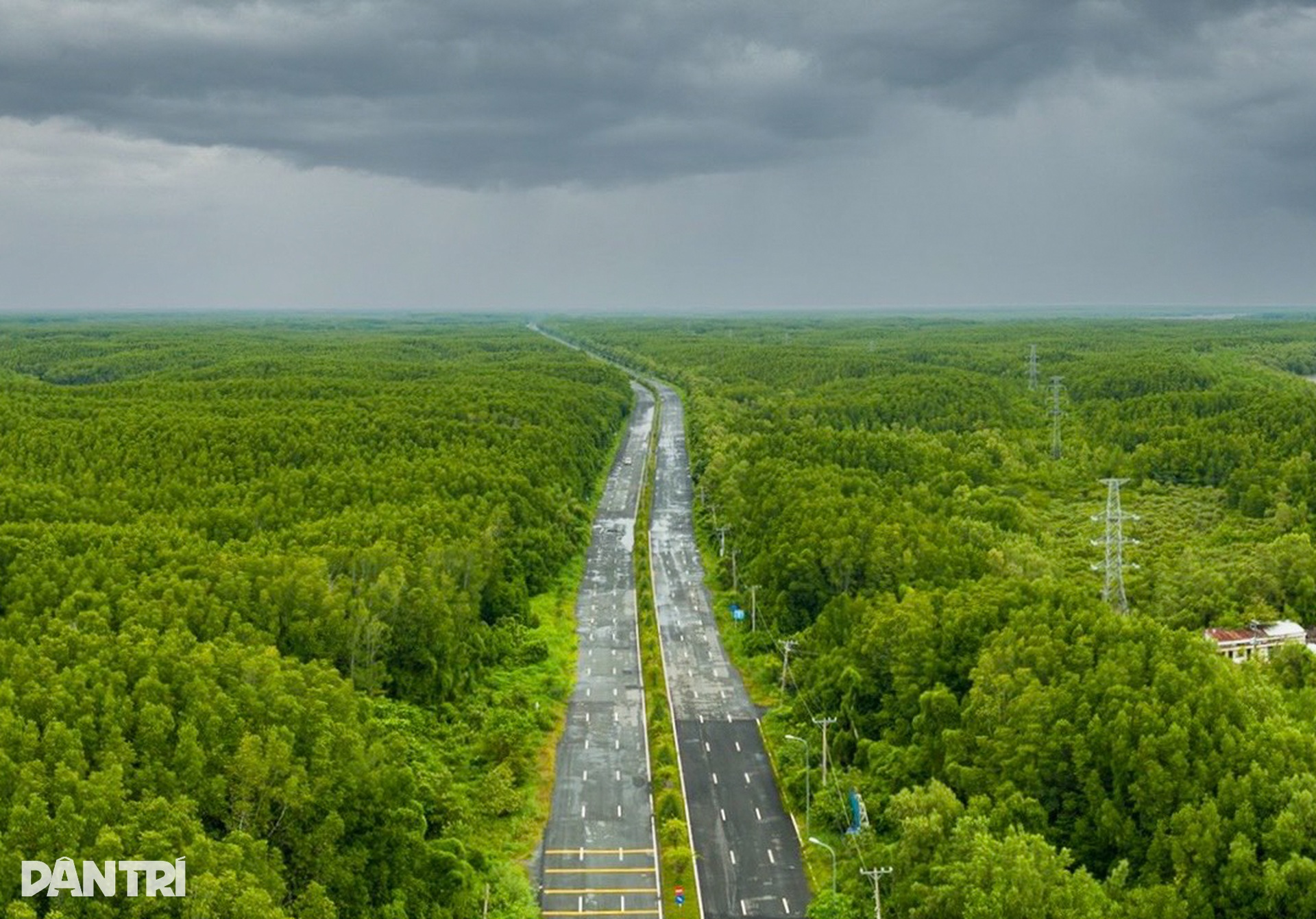Tuyến đường 6 làn băng rừng già vươn ra biển lớn của TPHCM - 2