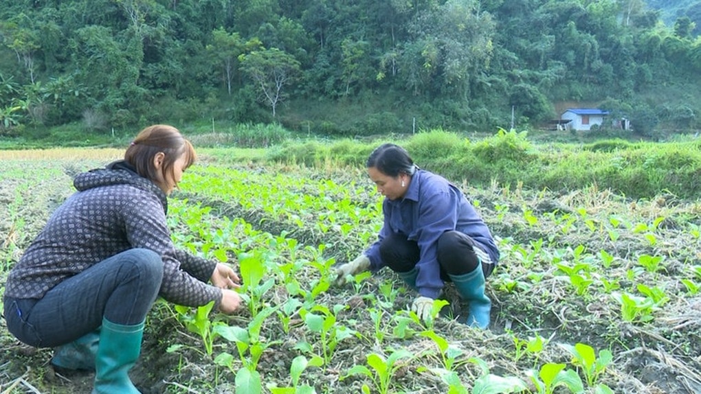Đa dạng mô hình sinh kế giúp người dân thoát nghèo - 1 Đa dạng mô hình sinh kế giúp người dân thoát nghèo - 1