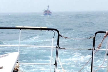 Cứu tàu cá mắc cạn ở vùng biển Cửa Đại